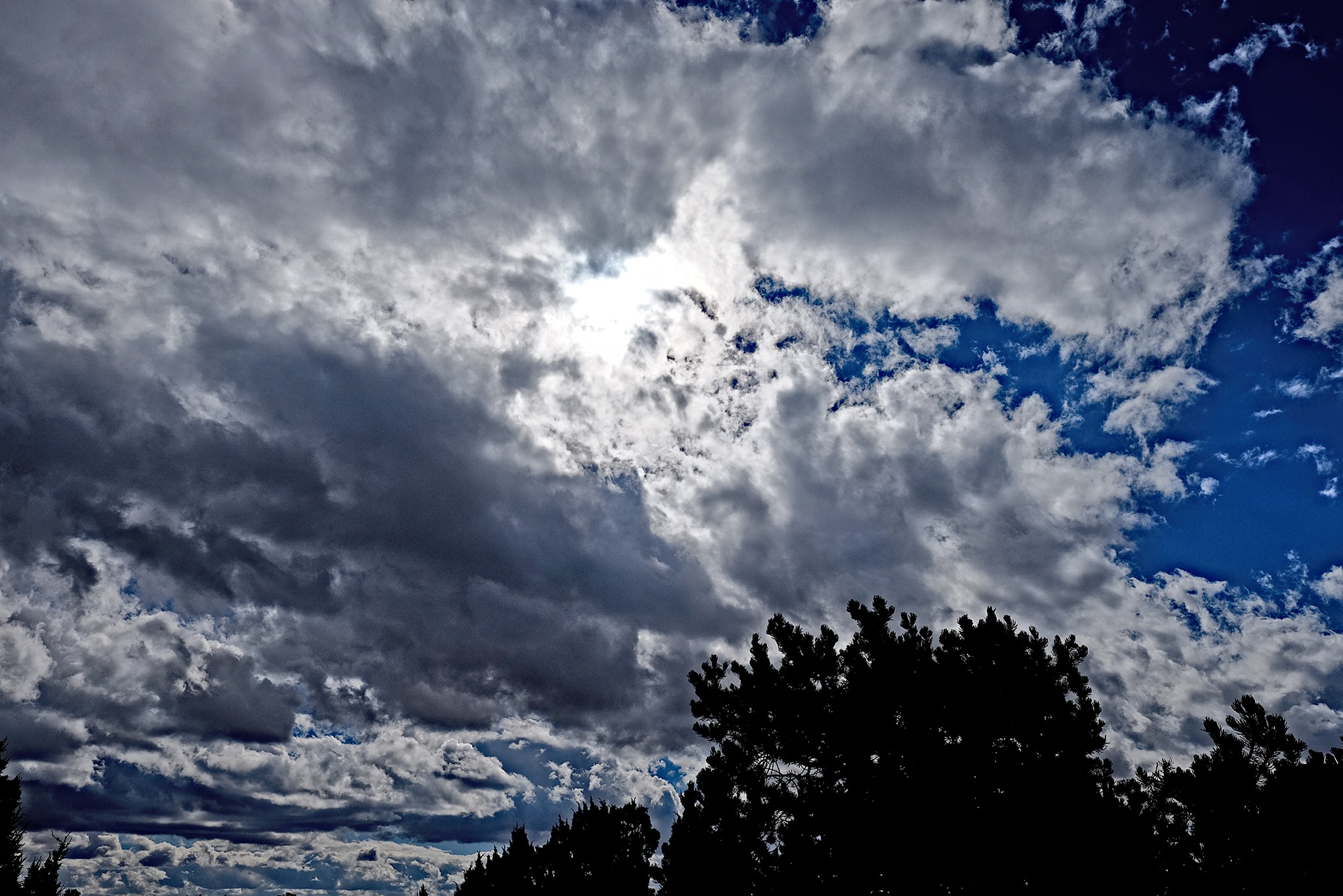 XT1F0819_lzn