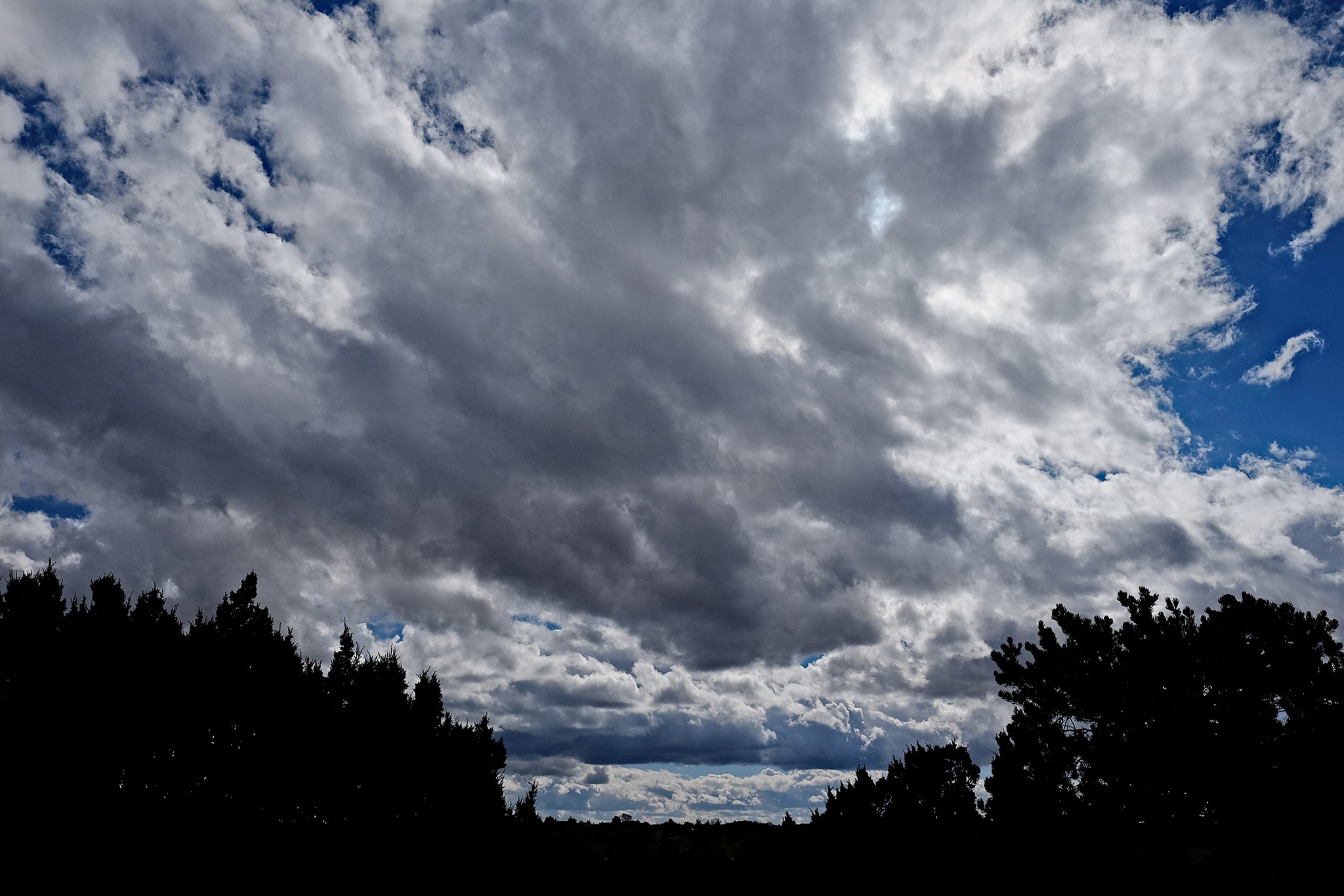 XT1F0825_lzn