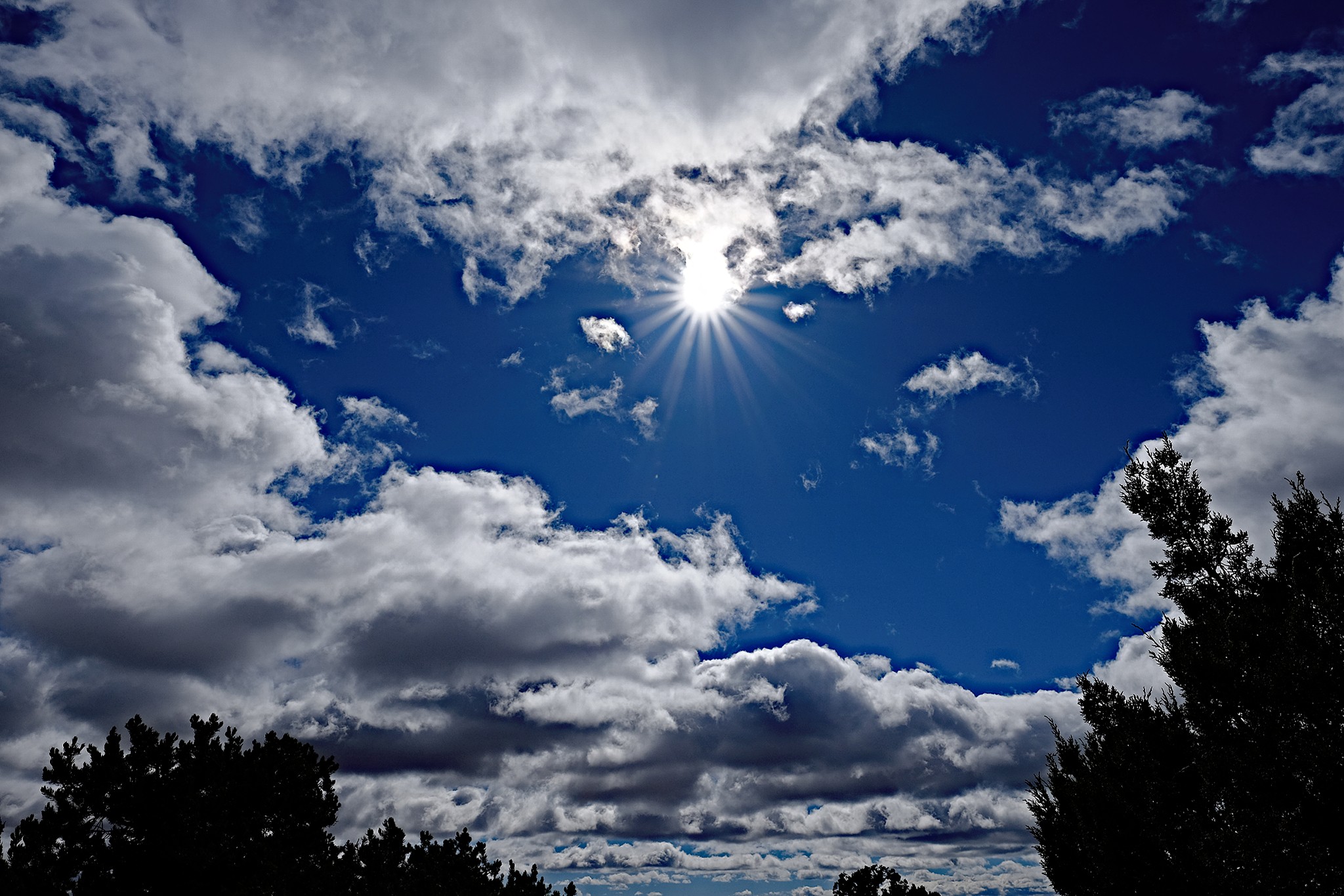 XT1F0828