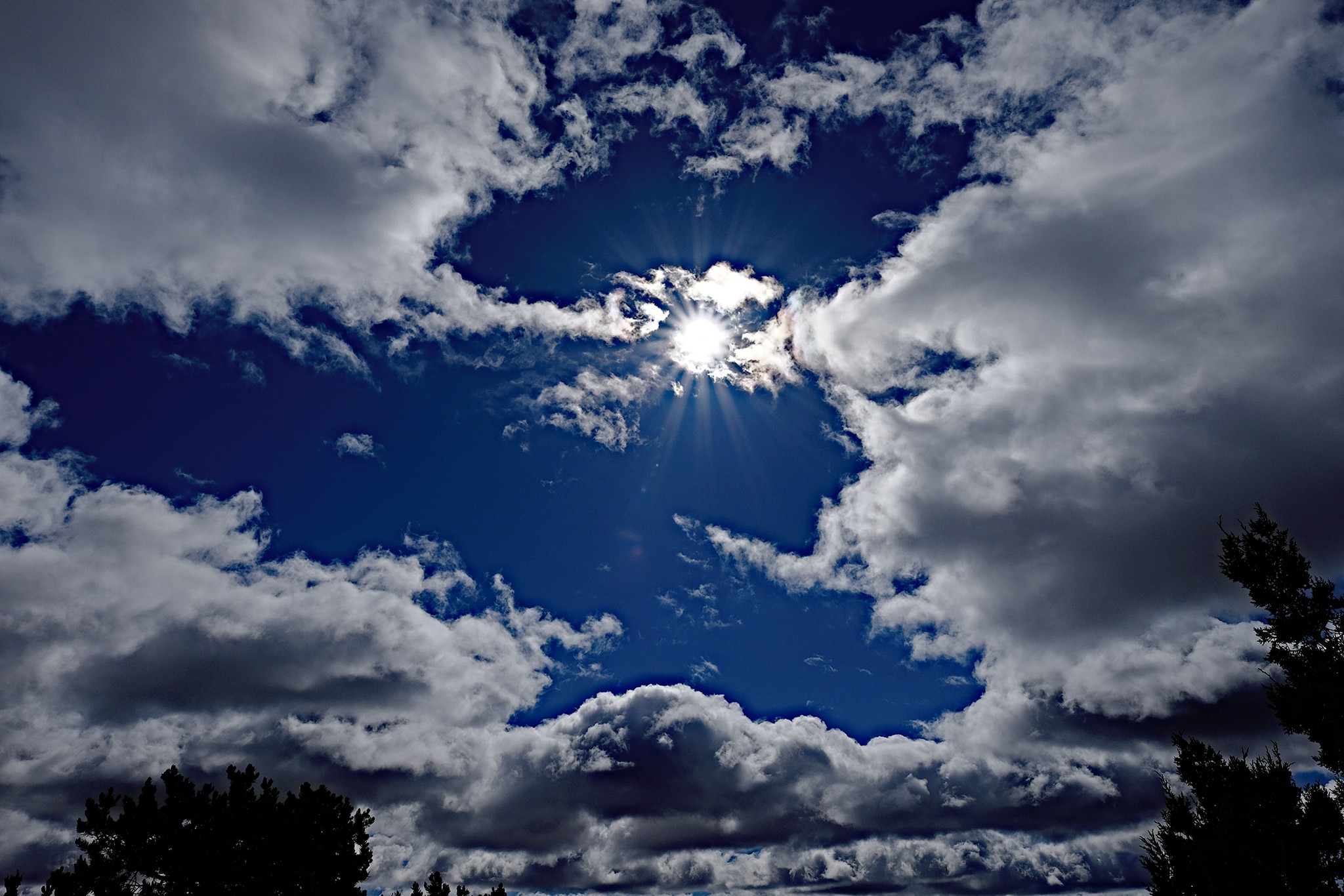 XT1F0830