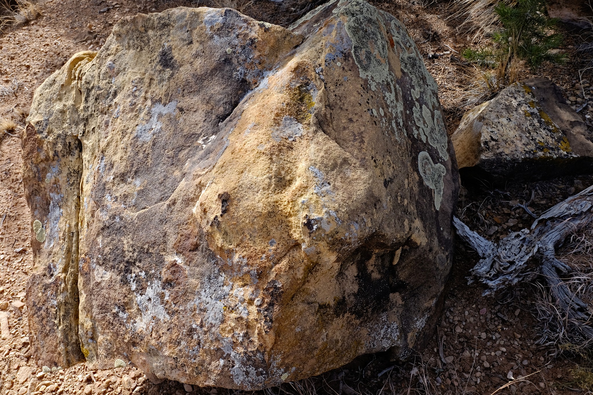XT1F1082