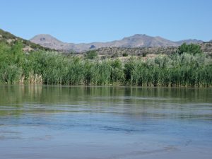 IMG_2155_lzn