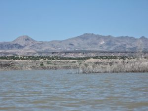 IMG_2175_lzn