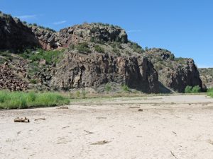IMG_2213_lzn