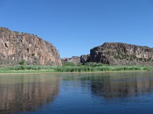IMG_2241