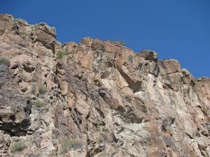 IMG_2311_lzn