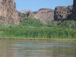 IMG_2323_lzn