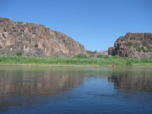 IMG_2327_lzn