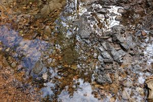 DSCF1467