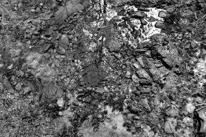 DSCF1467-bw