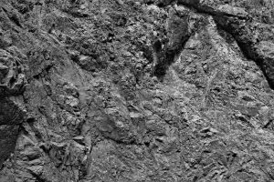 DSCF1480-bw