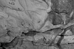DSCF1510-bw