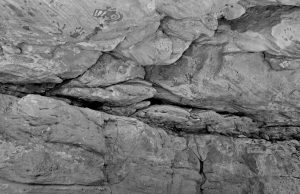 DSCF1511-bw