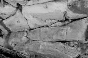 DSCF1514-bw