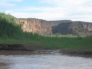 IMG_2351