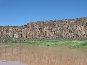 IMG_2374