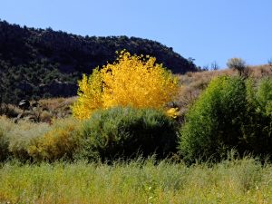 x30f0728_lzn