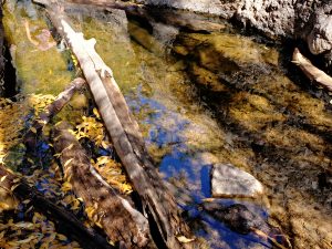 x30f0765_lzn