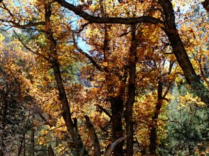 x30f0770_lzn