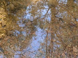 x30f0773_lzn