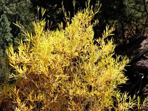 x30f0789_lzn