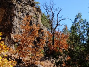 x30f0796_lzn