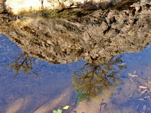 x30f0950_lzn