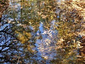 x30f0952_lzn