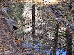 x30f0954_lzn