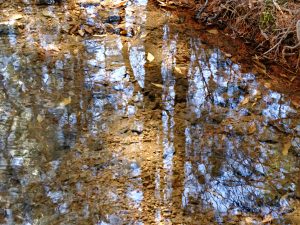 x30f0957_lzn