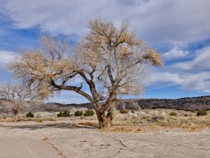 x30f0973_lzn
